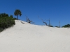 Crossing dunes to get to beach