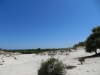 View back to ocean on walkway to Sea Camp