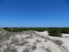 View back to ocean on walkway to Sea Camp