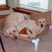 dog-cot-tut (2)