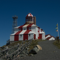 newfoundland-feature